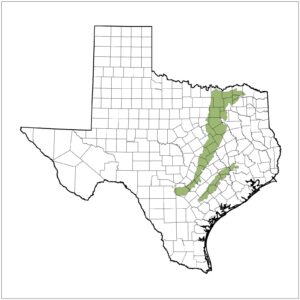 Map of Texas with Blackland Prairie shown