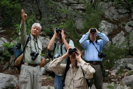 Person pointing while others look through binoculars.