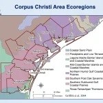 Map of ecoregions in Corpus Christi