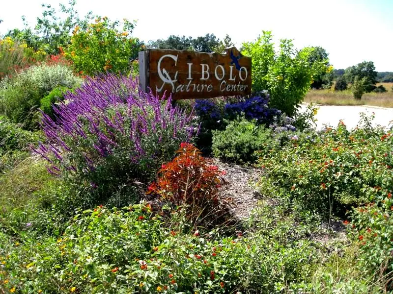 Sign that reads "Cibolo Native Center" surrounded by a bed of wildflowers