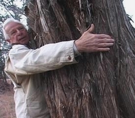 Person hugging a tree