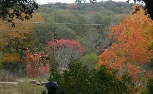Landscape of a hillside of autumn colors